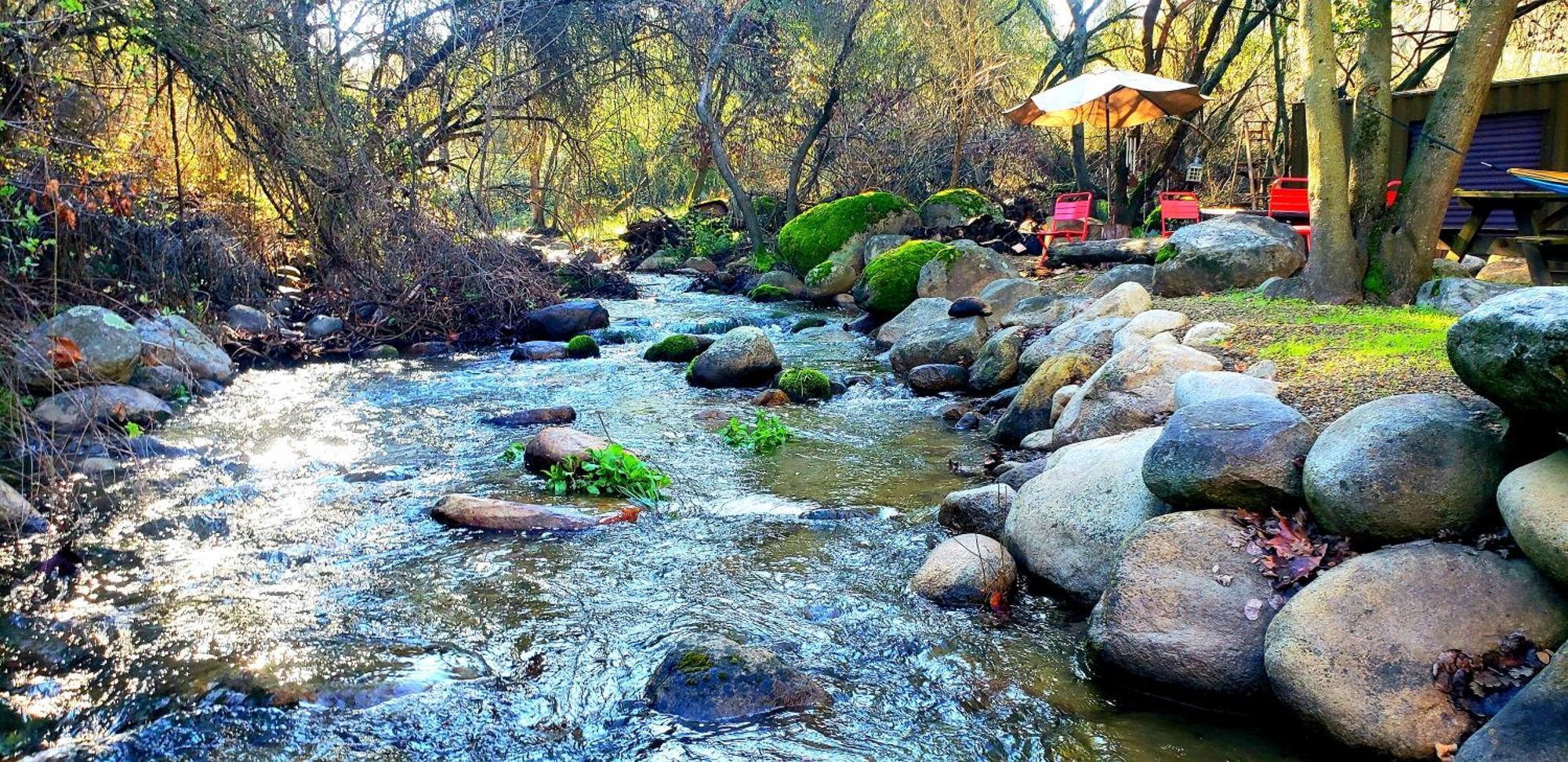 Magical River House ! 10 Min To Snp Park Entrance Трі-Риверс Екстер'єр фото