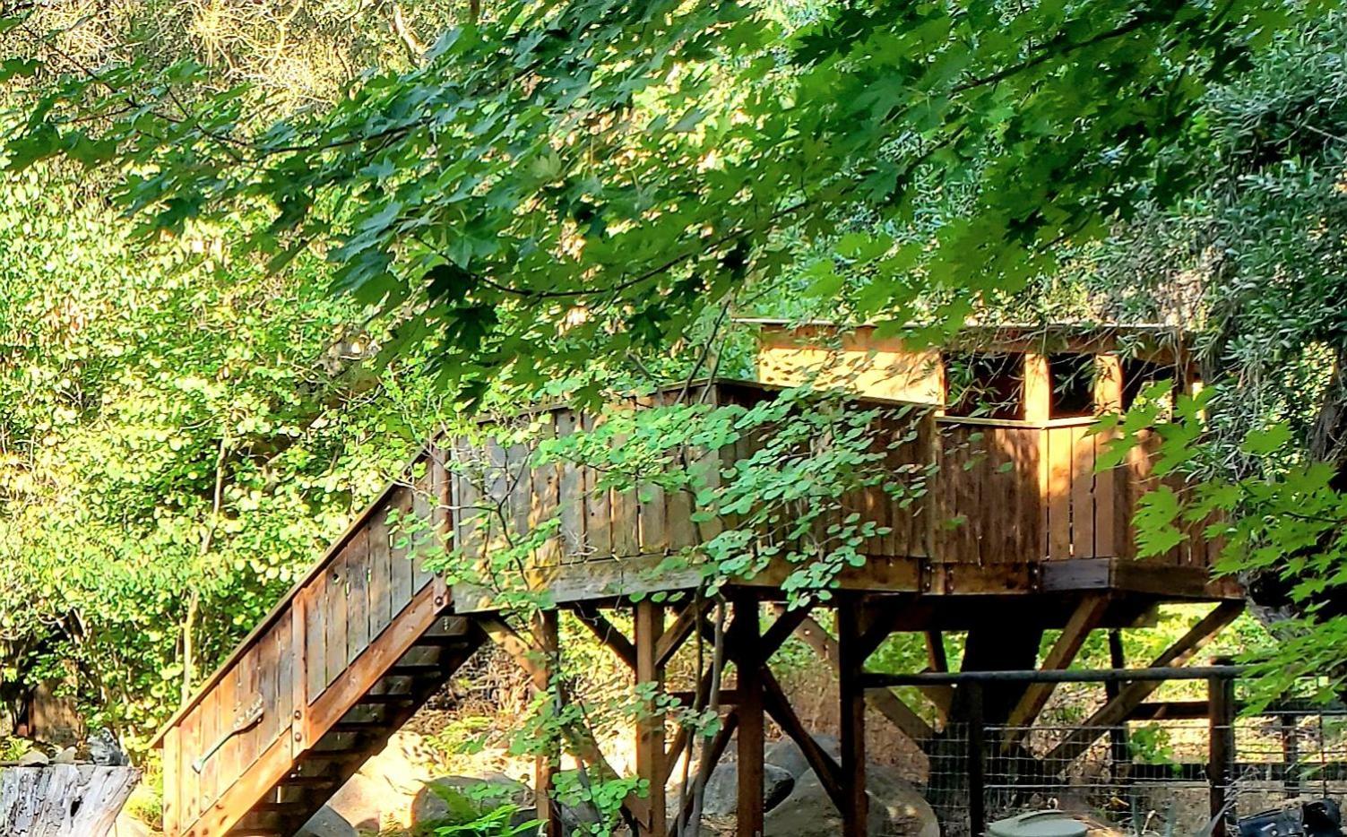 Magical River House ! 10 Min To Snp Park Entrance Трі-Риверс Екстер'єр фото
